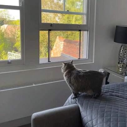 Window Fly Screen Adjustable Tight Seal Insects Bugs Aluminium Fiberglass Mesh