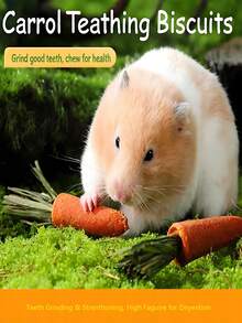 亚克力浴室，透明主体，木质顶盖，圆形入口，防漏设计，可爱老鼠入口，卡通老鼠头入口，萌趣设计让老鼠爱上洗澡 - 彩色 - 查看 2