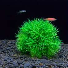 1/3pcs Aquarium Decor Grass Ball - PVC Lotus Grass Plant Cluster, For Fish Tank Landscaping - Artificial Water Plants Decor, Suitable For Aquatic Environment - Fade-Resistant Artificial Plant Decoration - A - View 3