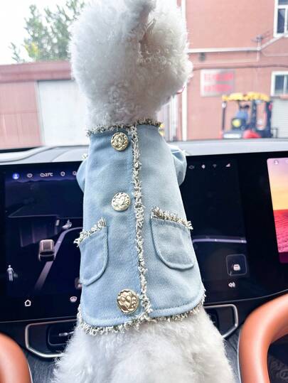 PETCIRCLE 1pc Pet Clothes, European & American Style, Suitable For Small Dogs & Puppies, Stylish, Cute, Comfortable Outerwear