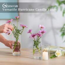 Vasi - 6 - Visualizzare 6