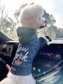 PETCIRCLE 1件宠物衣服，欧美风格，适合小型犬和幼犬，时尚可爱舒适的外出外套 - 彩色 - 查看 5