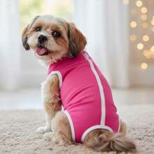 Roupa Pet Pós-Cirúrgica Castração Fêmea e Macho Lisa Protetora Para Cachorros e Gatos - Multicolorido - Visão 3