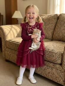 Toddler Dress Girls Ruffle Long Sleeve Layered Tulle Dress Fall Spring Fashion Party Dresses 3-10T, Kids Holiday Birthday Wedding Outfit - 紅色 - 查看 6