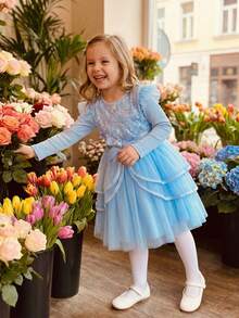 Toddler Dress Girls Ruffle Long Sleeve Layered Tulle Dress Fall Spring Fashion Party Dresses 3-10T, Kids Holiday Birthday Wedding Outfit - 天藍 - 查看 2
