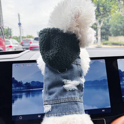 PETCIRCLE 1 bộ quần áo cho thú cưng, kiểu dáng Châu Âu & Mỹ, áo khoác có mũ bằng vải nỉ dễ thương và thoải mái dành cho chó nhỏ và chó con - Màu xanh lá cây