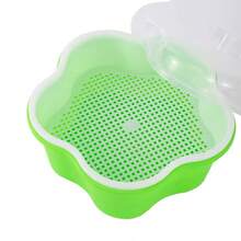 豆芽种植盆 豆芽育苗盘 小麦草生长发芽 健康沙拉豆芽 家庭园艺用品 - A - 查看 3