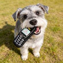 Realistic Phone Shaped Pet Sound Toy, "DO YOU LOVE ME" Print, Built-In BB Sound, Suitable For Interactive Play, Fetch/Retrieve Games, Boredom Relief, Teeth Cleaning For Small/Medium Dogs & Cats, Pet Supplies, Pet Toy - Multicolor - View 4