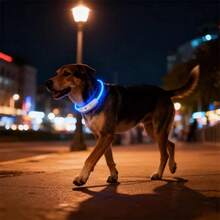 Collar portátil para mascotas, luz Led recargable, 4 engranajes para , caminata nocturna al aire libre, arnés antipérdida para perros, accesorios de correa DKTX - Azul M - Ver 12