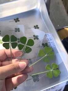 2件套可调节透明亚克力书架，艺术品展示架，办公室家用桌面书籍杂志CD架，适用于办公室、家庭、零售店、卧室、返校季、漫画、CD、杂志、明信片、艺术品、情人节、圣诞节、万圣节礼物，透明装饰 - 彩色 - 查看 10