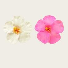 1/3 piezas Flores artificiales de hibisco, decoración de fiesta hawaiana de verano DIY, accesorios para el cabello de la falda de hierba de la fiesta de baile - Multicolor - Ver 27