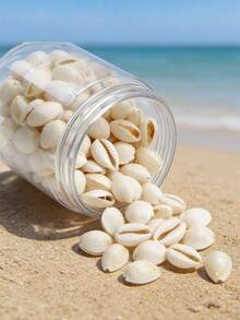 1 Box 140g Colorful Natural Sea Shells - Ideal For DIY Jewelry Making, Home Decor, Resin Art Projects, Crafts. No Power Required, Essential Arts & Crafts Supplies For Creative Projects - Multicolor - View 15