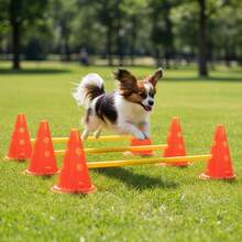 Portable Dog Agility Training Set | 6 Pylon Jump Obstacles With Adjustable Height Poles | Indoor & Outdoor Pet Exercise & Backyard Training Kit - Orange - View 3