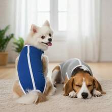 Roupa Pet Pós-Cirúrgica Castração Fêmea e Macho Lisa Protetora Para Cachorros e Gatos - Multicolorido - Visão 6