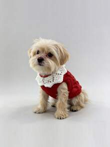 Contrast Collar Pet Sweater, Warm & Cute, Autumn/Winter - Red - View 2