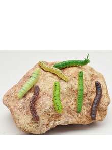 2个/4个/6个 2025新款逼真昆虫减压玩具，恶作剧道具，蠕虫昆虫模型，随机发货 - 彩色 - 查看 10