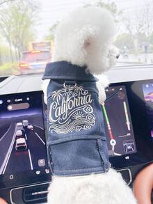 1pc Pet Clothes, European & American Style, Suitable For Small Dogs & Puppies, Stylish & Cute Comfortable Golden California Jacket - Blue - View 3