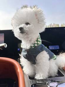 PETCIRCLE 1pc Pet Clothes, European & American Style, Suitable For Small Dogs & Puppies, Plaid Star Pattern Cute & Comfortable Outdoor Jacket - Green & White - Multicolor - View 5