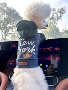 PETCIRCLE 1件宠物衣服，欧美风格，适合小型犬和幼犬，时尚可爱舒适的外出外套 - 彩色 - 查看 10