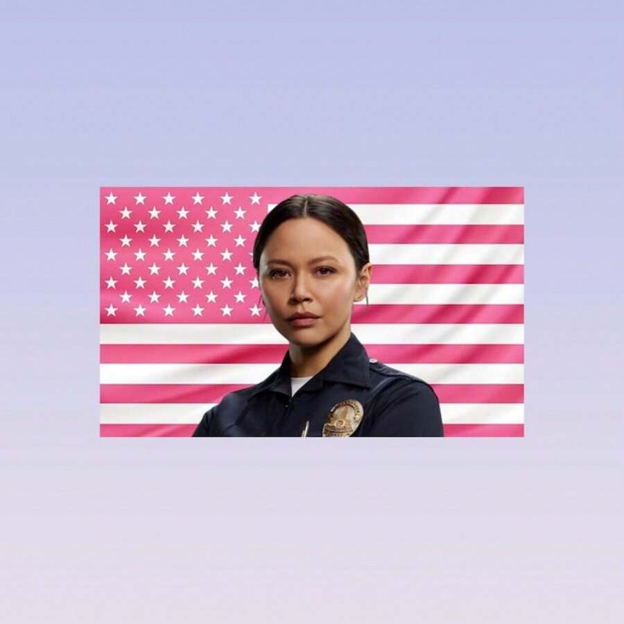 Pink Lucy Chen Tapestry – Aesthetic TV Show Wall Art – Bedroom Dorm Soft Pink Decor – Fan Gift - 1Pcs - 查看 1