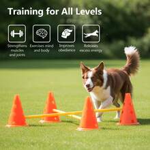 Portable Dog Agility Training Set | 6 Pylon Jump Obstacles With Adjustable Height Poles | Indoor & Outdoor Pet Exercise & Backyard Training Kit - Orange - View 5