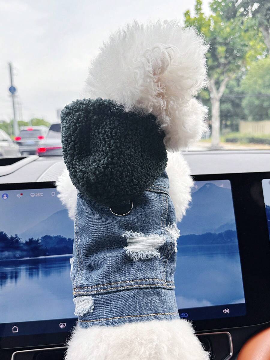 PETCIRCLE 1件宠物衣服,欧美风格,可爱舒适的抓绒连帽外套,适合小型犬和幼犬,绿色 - 彩色 - 查看 1