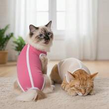Roupa Pet Pós-Cirúrgica Castração Fêmea e Macho Lisa Protetora Para Cachorros e Gatos - Multicolorido - Visão 4
