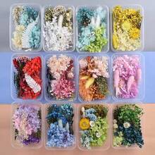 1盒随机干花及永生花DIY材料包，含香皂及香料，亲子DIY活动套装，随机DIY干花永生花相框、信封、书签、花环及其他材料 - 隨機款式 - 查看 11