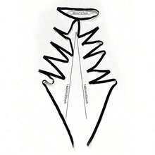 1pcs Sexy Crisscross Elastic Strap Multilayer Leg Garter Halloween Lace Thigh Garter Set, With Elegant Bow Decor, Stretchy Leg Band Suitable For Party Props And Bridal Leg Jewelry - 白色 - 查看 3