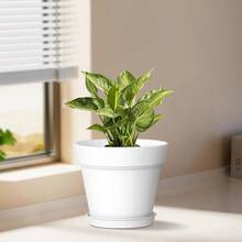 5 Inch Plastic Plant Pots With Drainage Holes And Trays - 6 Pack Small Nursery Pots Indoor Outdoor House Plants And Flowers, Seedling Starter Planters, Colorful - 黑色 - 查看 2