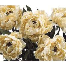 Artificial 21.5-Inch Two-Tone Beige Peony Bush (Set Of 2) - Beige - View 2