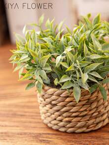 3 chậu cây mini giả mây, đan bằng dây rong biển, 3 kiểu dáng khác nhau, màu xanh lá cây, làm từ chất liệu PE, thích hợp để trang trí bàn làm việc, ký túc xá, ngày Valentine, văn phòng hoặc nhà cửa, cũng là món quà tuyệt vời cho bạn bè và gia đình. - Xanh-O - Xem 6