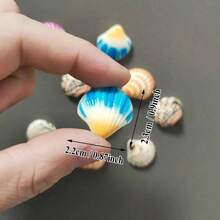 5/10/15pcs Colorful Shell Fridge Magnets, Resin Material, Whiteboard Magnetic Stickers, Suitable For Kitchen, Office, Storage Cabinet And Dishwasher, Room Decor, Home Decor, Party Gifts - Multicolor - View 4
