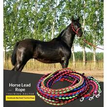 Horse Supplies - Thickened Horse Lead Rope, Large Silver Metal Buckle & Hook, 4-Strand Braided Horse Leash, Pet Leash - Multicolor - View 6