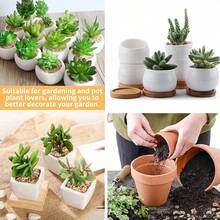 4片圆形花盆排水垫：防漏密封垫，柔软盆栽底部网格垫，园艺排水网孔筛，透气垫，园艺花卉植物用品，包含4种尺寸：2.5厘米/3.5厘米/4.5厘米/7.5厘米 - B - 查看 3