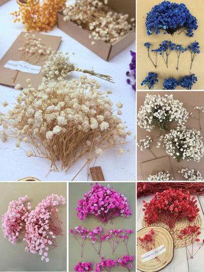 25/50/100/150/300支迷你满天星及其他干花 - 适用于树脂模具工艺品制作，象牙白花束，可用于发饰、婚礼花环、餐桌装饰、家居装饰