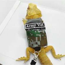 Bearded Dragon Harness Leash Set With Patch Adjustable Lizard Traction Rope Escape Proof Outdoor Walking Reptile Camouflage Costume Accessories For Bearded Dragon Lizard Small Pets (Green) - Brown - View 6