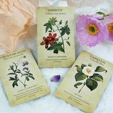 Oracle Cards, 45 Cards Deck Tarot Mysterious Divination Family Party Board Game - Đỏ - Xem 5