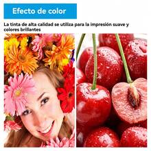 Cartucho de tinta 940 rojo y azul compatible con HP 8500, 8000 y C4900 – reemplazo directo del modelo C4901A, sin modificar la impresora, con colores vibrantes, secado rápido y máxima compatibilidad garantizada al 100%. Tinta 940 Roja y Azul para HP – Compatible con C4901A 8500 8000 – Ahorra Dinero sin Sacrificar Calidad - Rojo - Ver 11