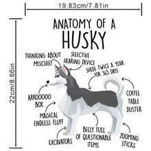 1pc Husky Anatomy Pattern Heat Transfer Sticker - Washable Printed Patch Suitable For DIY T-Shirts, Hoodies, Sportswear, Backpacks, Pillows, Handbags, Etc. - L - View 3