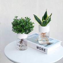 水培育苗盆套装 幼苗塑料盆 园艺配件 花园盆/花盆 透明植物种子 兰花系统 - A - 查看 3