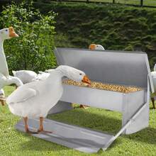 Poultry And Livestock Feeding & Watering Equipment - 5kg Cap. Max - View 4