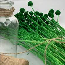 Flores Secas Vibrantes Variadas - Misture e Combine, Adequadas para Artesanato DIY, Decoração de Casa e Presentes - Buquê de Flores em Forma de Coração Multicolorido Eterno, Para Quadros, Vasos, Decorações de Festa e Presentes de Feriados - Design de Haste de Madeira de Longa Duração, Ideal para Ação de Graças, Dia das Mães, Dia dos Namorados e Aniversários - Bola Dourada - Verde - Visão 1