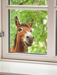 Realistic Horse Window Clings Farm Animals Window Decals Anti Collision Double-Side Static Stickers For Home Glass Door Decoration - YT852 - View 5