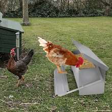 Poultry And Livestock Feeding & Watering Equipment - 10kg Cap. Max - View 3