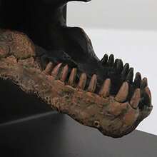 Tyrannosaurus Rex T-Rex - Sujetalibros decorativos para libros estantería de resina decorativa para el hogar pesos de papel extremos de libros soportes para sujetalibros tapón de libros decoración de escritorio-B031 - Negro1 - Ver 7