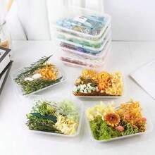 1盒随机干花及永生花DIY材料包，含香皂及香料，亲子DIY活动套装，随机DIY干花永生花相框、信封、书签、花环及其他材料 - 隨機款式 - 查看 10