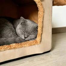 Cozy Indoor Cat Bed, Cat House/Tent With Removable Cushion, Soft And Warm Pet Bed, Fluffy Bear Nest For Cats, Kittens And Small Dogs (Brown) - L - 查看 7