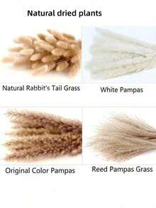 38/50/80/100/110pcs Natural High Quality Reed Grass Decor - Dried Rattan Flowers, Suitable For Home, Wedding, Event And Holiday Decoration (Christmas, Halloween, Easter, Thanksgiving) - Multicolor - View 4