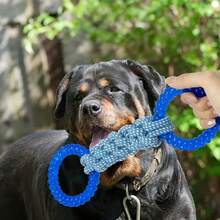 Large/Extra Large Dog Dual-Ring Knotted Rope Toy, Non-Slip Handle, Durable Chew Toy For Teeth Cleaning And Tug-Of-War Interactive Play - Multicolor - View 4